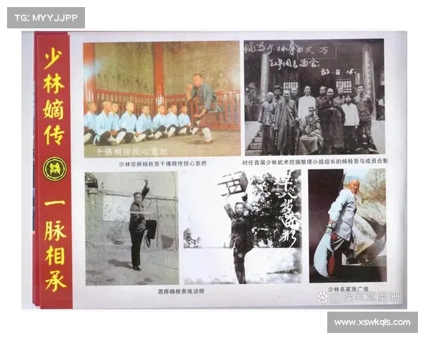 中国十大武术学校排名及其特色培养模式探析 中国十大武术学校排名及其特色培养模式探析